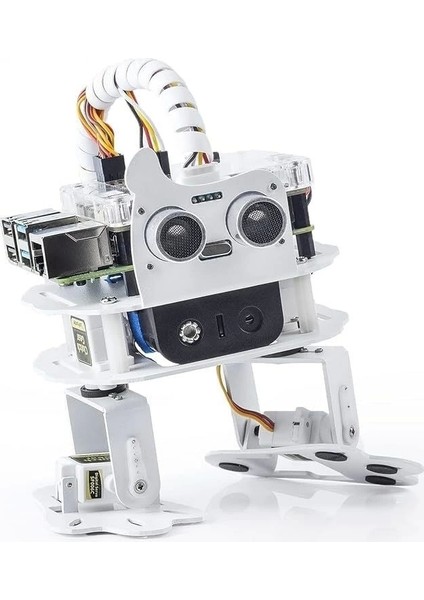 Pisloth Aı Programlanabilir Robot Kiti Raspberry Pi