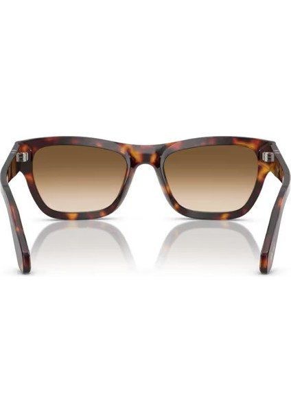 PO0091S 24 51 53 Unisex Güneş Gözlüğü modelleri