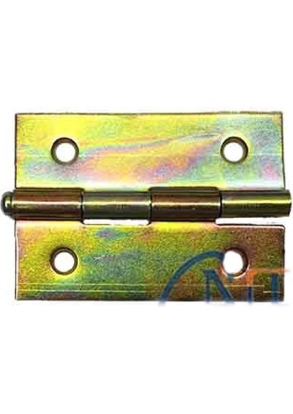 Yaprak Menteşe No:2,5 - 38X61MM, 24 Adet