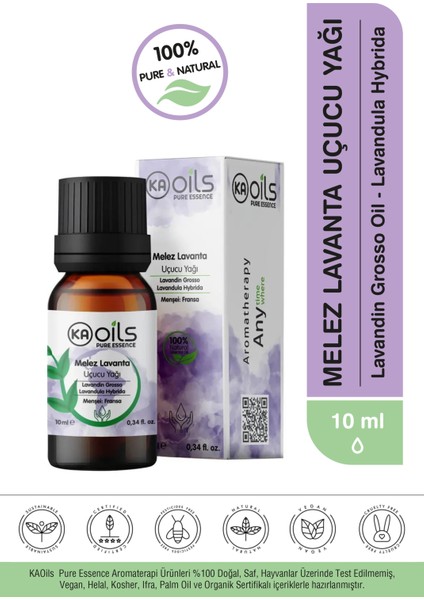 Aromaterapi Seyahat Seti - Difüzör ve 5 Saf Uçucu Yağ (Selvi + Melez Lavanta + Yeşil Mandalina + Karanfil + Tıbbi Nane) 10 ml