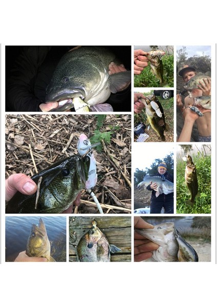 Küçük Balık Avlama Yaprakları - Sert Plastik Egemek Yüzer Sahtesi Balık Yaprakları (Yurt Dışından) fiyatları