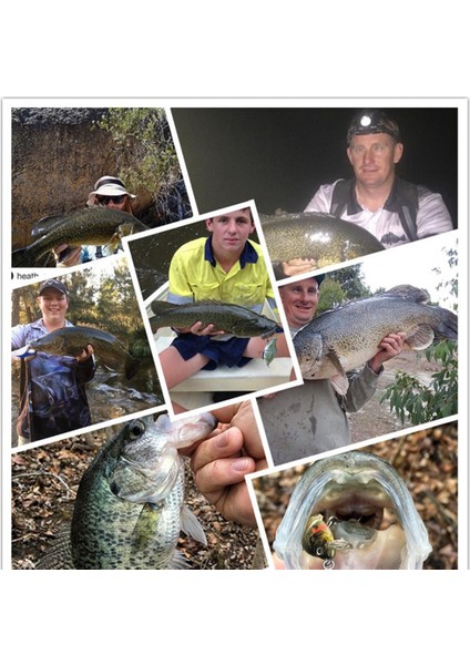 Küçük Balık Avlama Yaprakları - Sert Plastik Egemek Yüzer Sahtesi Balık Yaprakları (Yurt Dışından) modelleri