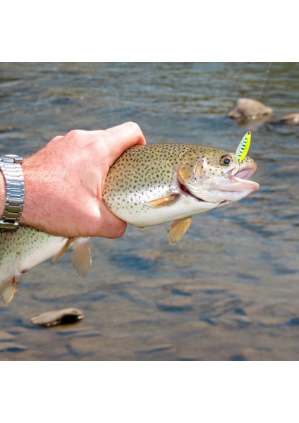 Alabalık Kanyonu Takımı Li Yapay Yem (Yurt Dışından) fırsatları