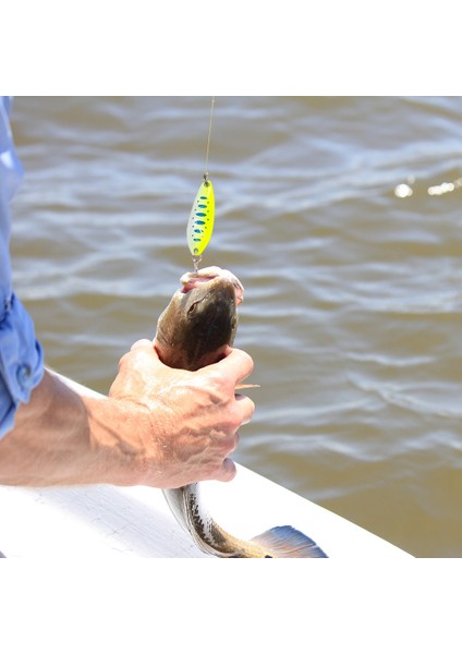 Alabalık Kanyonu Takımı Li Yapay Yem (Yurt Dışından) indirimleri