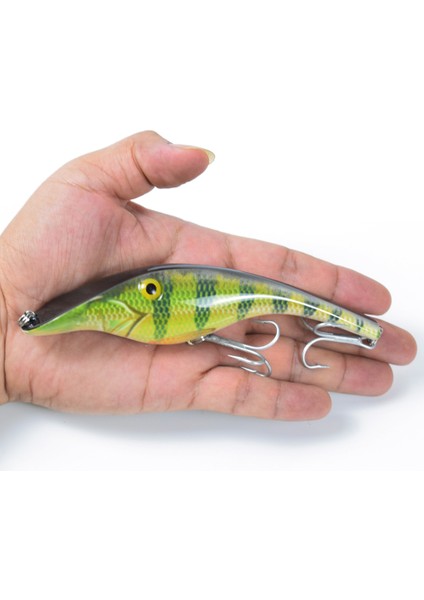 5,5 Inç 1,5 Ons Biyotik Balık Tutma Ucu Sert Gövde (Yurt Dışından) modelleri