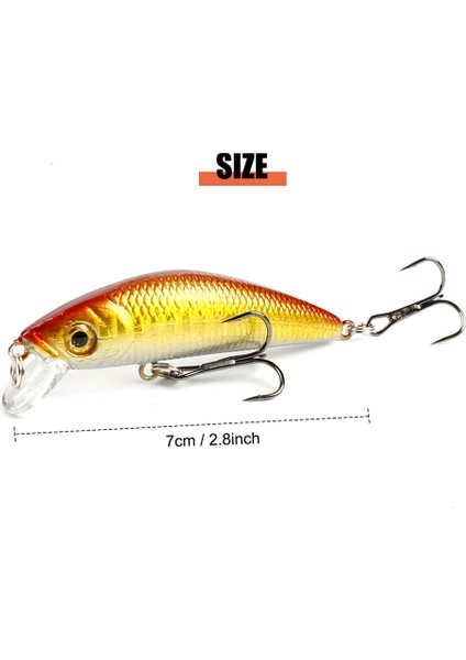 Sert B Yapay Yapışkanı Canlımsı 3D Gözlü 6 Uclu (Yurt Dışından) fırsatları