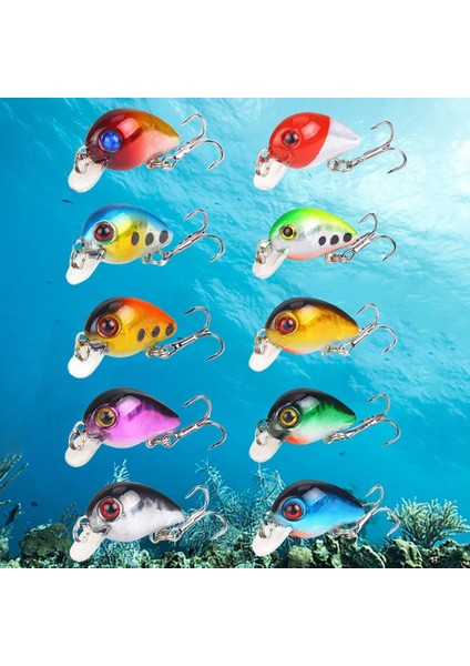 Bait Buddy Kalın Balık Yapışkan Seti 10'lu Paket Canlı Renkler Keskin Kancalar (Yurt Dışından)