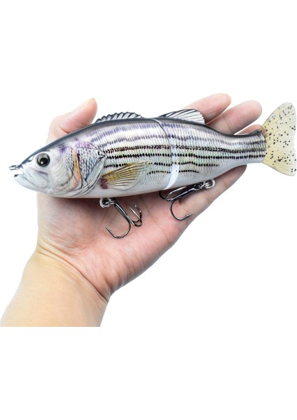 6,7 Inç 3,1 Ons Alabalık Yaprakçığı Canlandırılmış Kuyruklu Yaprakçığı (Yurt Dışından) fiyatları