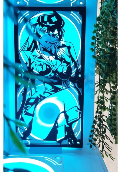 Esdeath 120X240 mm Siyah Çerçeveli Pc Aksesuarı, Masaüstü Bilgisayar Fan Kapağı