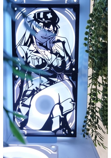 Esdeath 120X240 mm Siyah Çerçeveli Pc Aksesuarı, Masaüstü Bilgisayar Fan Kapağı
