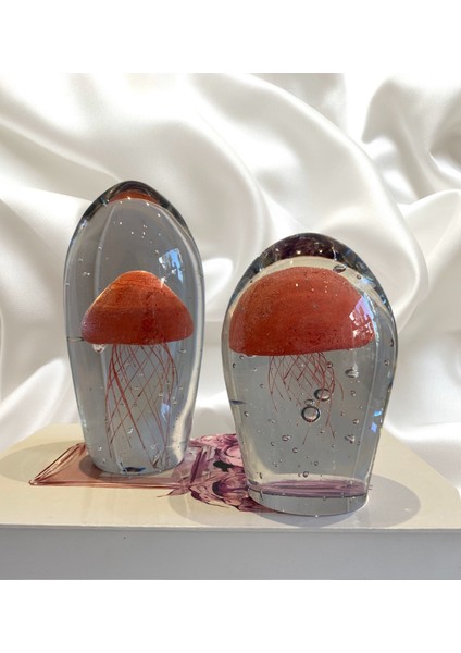 2'li Dekoratif Denizanası Obje