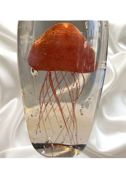 2'li Dekoratif Denizanası Obje fiyatları