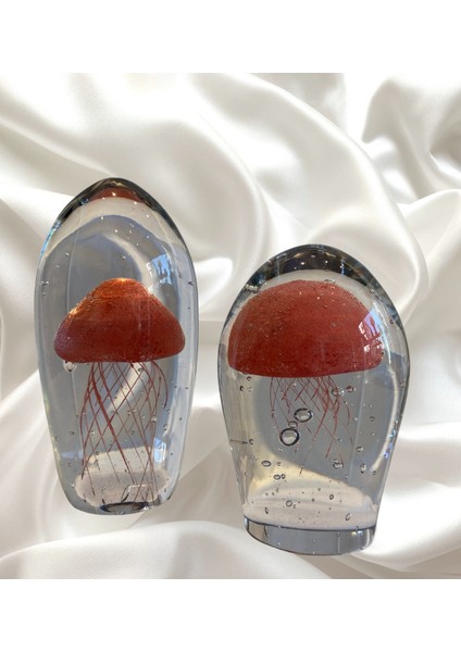 2'li Dekoratif Denizanası Obje modelleri