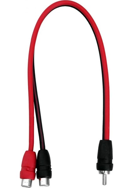 Anfi Y Kablo 1 Erkek 2 Dişi 30CM Reıs