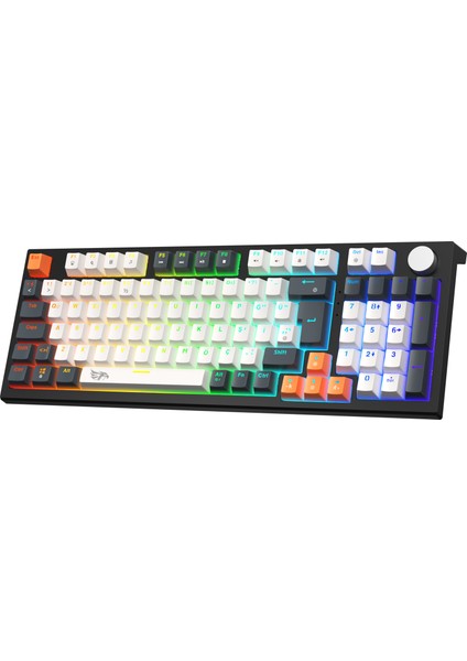 MKP98-10 Farklı Rainbow Aydınlatma-Mekanik Gaming Klavye