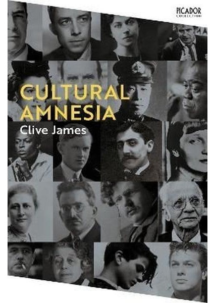 Cultural Amnesia: Notes In The Margin Of My Time (Picador Collection 16)