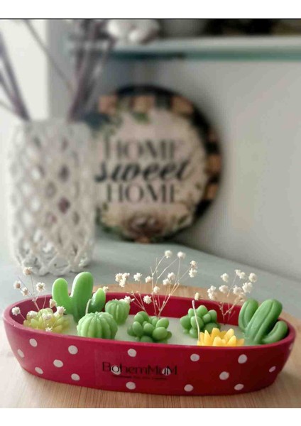 Botanik Mum Bahçesi / Hediyelik Kokulu Mum / Kaktüs Sukulent Mum