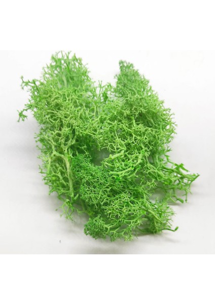Zümrüt Yeşili Tarzı Orman Modelleme Malzemesi 30G Liken Yosun Küme Ormancılık Ağaçları Yaprak Ölçek Modeli Yapımı Minyatür Ağaç Modeli Diy Diorama Layout Için (Yurt Dışından)