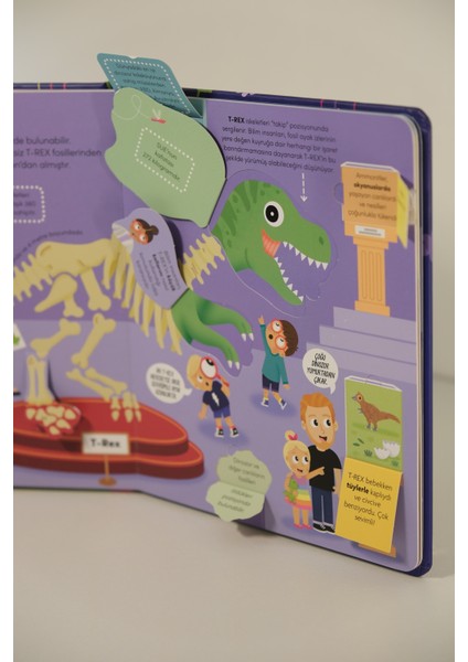 Eğlenceli Gerçekler - Keşif Zamanı: Dinozorlar