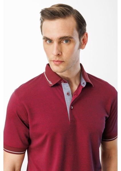 Erkek Polo Yaka Yakası ve Kolu Triko T-Shirt Bordo