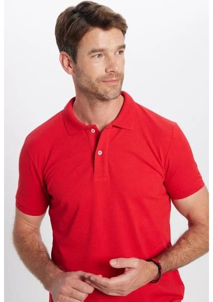 Erkek 5'li Pkt Kırmızı-Saks Mavi-Zümrüt Yeşili-Mavi-Bej Slim Fit Pamuklu Düz Pike Polo Yaka Tişört fiyatları