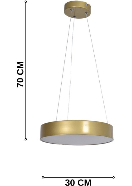 Dakota Modern Panel Ledli Salon Oturma Odası Yatak Odası Mutfak Eskitme Renk LED Avize (Beyaz Işık) modelleri