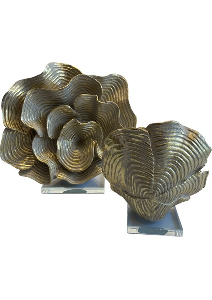 2'li Gül Model Mercan fiyatları