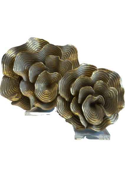 2'li Gül Model Mercan modelleri