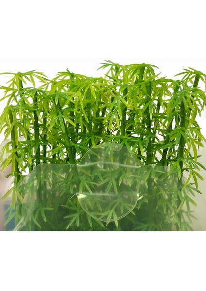 25 Adet Tarzı Bambu Modeli Plastik Minyatür Ağaç Manzara Karışık Bambu Ağaç Kum Tablo Model Aksesuar Oyuncaklar Hobisi (Yurt Dışından) indirimleri