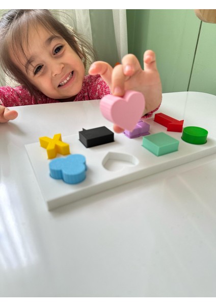 Eğitici Plastik Blok Geometrik Şekiller Zeka Oyunu modelleri