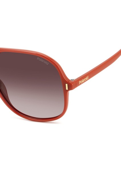 Pld 6217/S L7QLA Polarize Unisex Güneş Gözlüğü