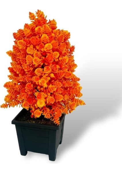 3lü Set Yapay Çiçek Bonsai Ağacı Kozalak Model Dekoratif Yapay Ağaç Bonzai 30*15 cm Siyah Kare Saksıda