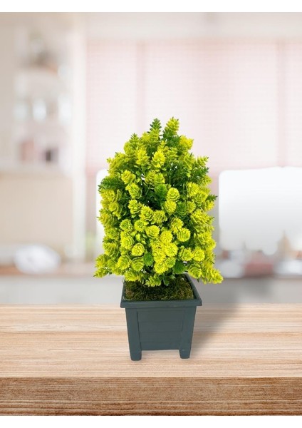 3lü Set Yapay Çiçek Bonsai Ağacı Kozalak Model Dekoratif Yapay Ağaç Bonzai 30*15 cm Siyah Kare Saksıda