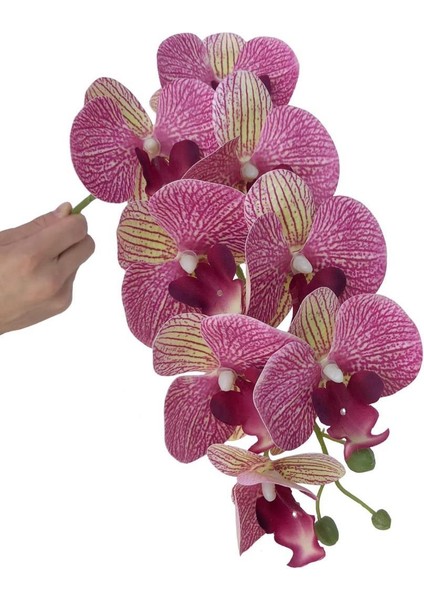 4lü Set Yapay Çiçek Fuşya Çilli Islak Orkide ve 2 Adet Orkide Yaprağı Gerçeksi Doku Uzun Dal 90 cm