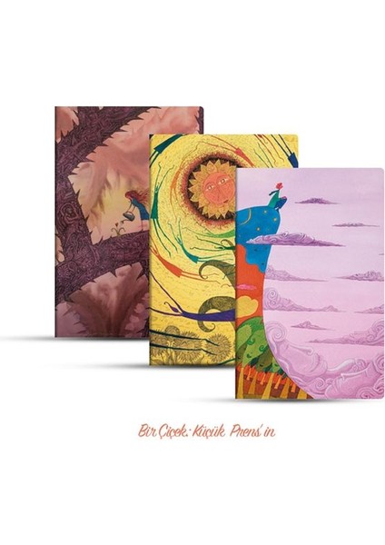 Üçlü Çizgisiz Defter Seti: Bir Çiçek: Küçük Prens In