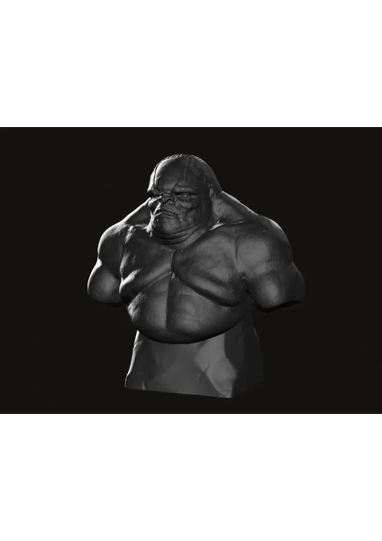 Damrod 10 cm Büst Lord Of The Rings Yüzüklerin Efendisi