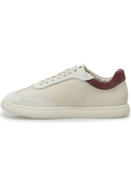 Cupsole Lace Up - Lth Sue Bej Kadın Sneaker