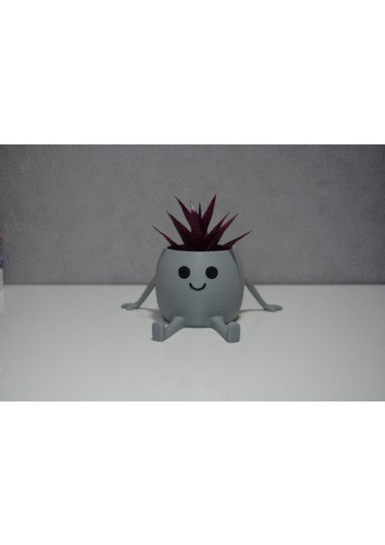 3D Oturan Mini Saksı Açık Gri
