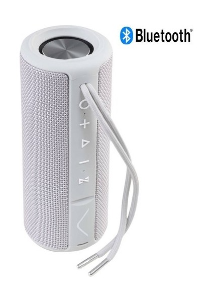 Desibel H500 Bluetooth Hoparlör Gri