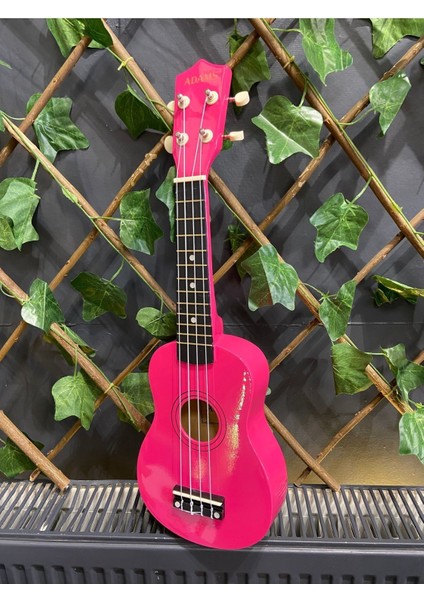 54 cm Soprano Pempe Ukulele (Kılıf ve Pena Dahil)