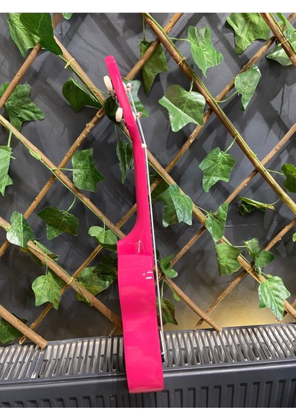54 cm Soprano Pempe Ukulele (Kılıf ve Pena Dahil)