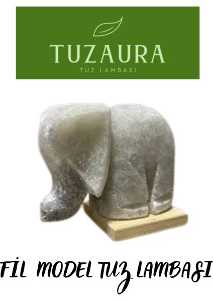 Fil Model Tuzlambası