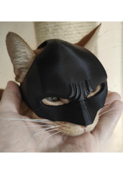 Siyah Batman Kedi Maske - Giyilebilir Kedi Maskesi Evcil Hayvan Maskesi fiyatları