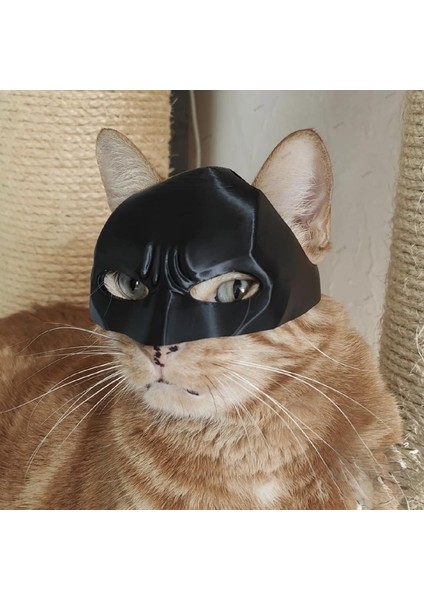 Siyah Batman Kedi Maske - Giyilebilir Kedi Maskesi Evcil Hayvan Maskesi fırsatları