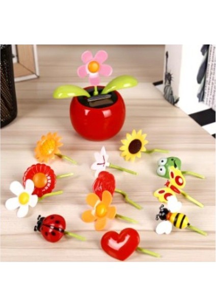 Güneş Enerjili Solar Dans Eden Karışık Model Çiçek Arı Papatya Uğur Böceği Gül Dans Eden Model Solar