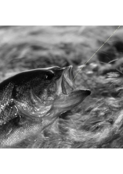 Naylon Balık Tutma Teli Grubu Dönen Yem Tutucu (Yurt Dışından) fırsatları