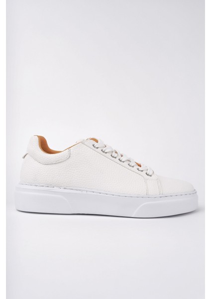 Pinto Kalın Taban Bağcıklı Erkek Günlük Sneaker Spor Ayakkabı