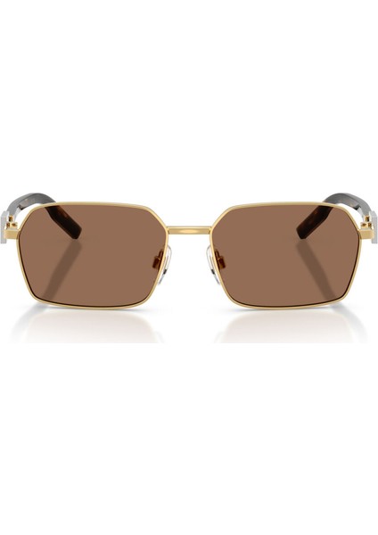 2316 02/73 56-16 Erkek Güneş Gözlüğü