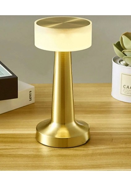 Dekoratif Şarjlı Dokunmatik LED Masa Lambası USB Kablolu Abajur ve Gece Lambası