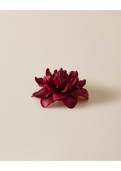 Petal Biblo - Kırmızı